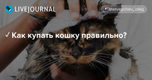 Как правильно подойти к процессу оздоровления волос