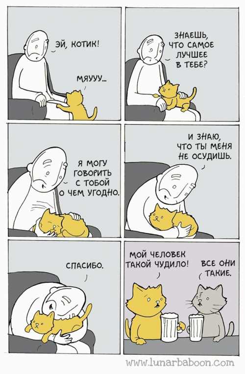 Животные, которые открыли нам космос