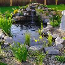 Альпийские горки располагаются в защищенном от ветра и хорошо освещенном месте участка