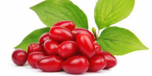 Состав какао, калорийность: в чём его польза и