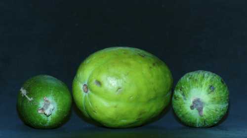 Экспортёры и потребители