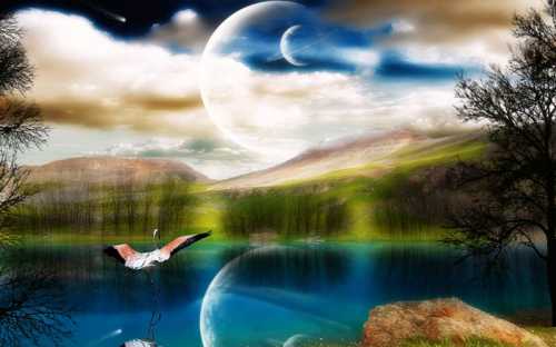 Подскажите куда обратиться по вопросу