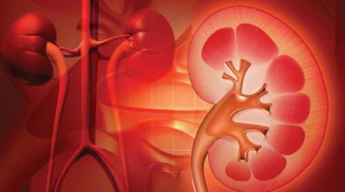 Ученые: детская агрессия имеет генетических