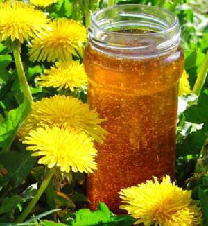 Полезно ли варенье из одуванчиков, если при термической обработке витамины могут частично разрушаться