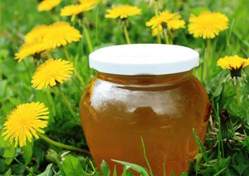 Хотя бы потому, что природная формула содержит ряд микроэлементов и важные компоненты группу которые предупреждают ожирение лечат гастриты сок нейтрализует повышенную кислотность стимулирует аппетит и пищеварительные процессы гликозиды выводят камни и песок изжелчного пузырядесерт незаменим при заболеваниях селезенки