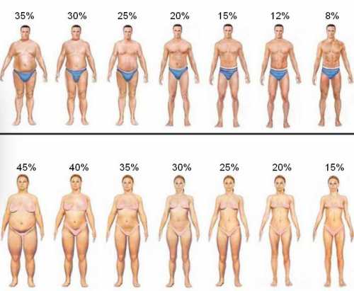 Как определить процент жира в организме