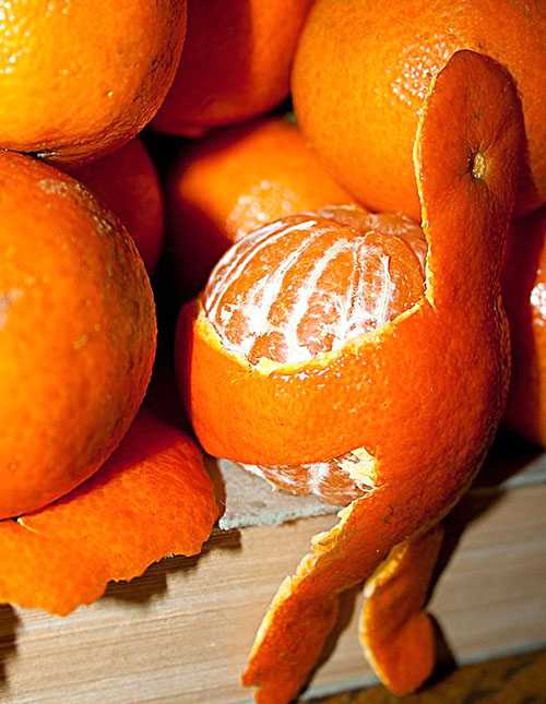 Для первой пробы ребенку будет достаточно мл березового сока, а если ему понравится, то объем можно увеличить в два раза