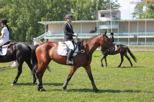 Применение для волос
