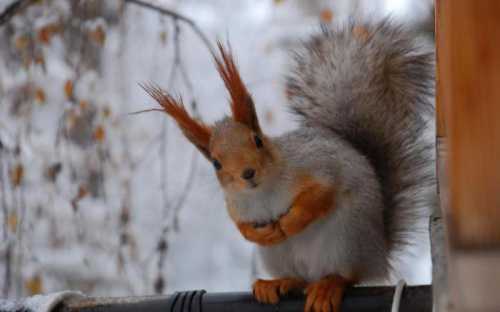 Также такие ночные грезы можно считать предостережением