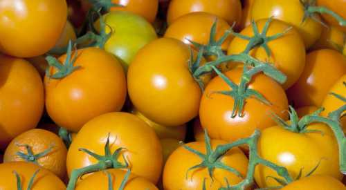 Самые  полезные напитки: описание состава разных