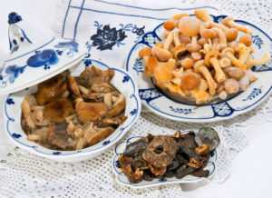 Как заморозить грибы на зиму: сохрани вкус и аромат