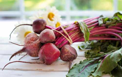 Аминокислота глицин в составе молок улучшает деятельность клеток мозга