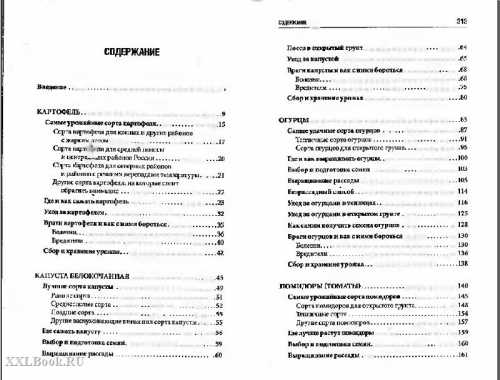 Особенности урожайных сортов помидоров: