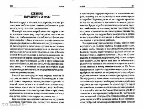 Они не трескаются и хорошо сохраняются в течение продолжительного периода