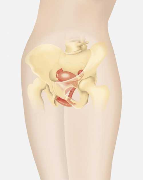 Боли в эпигастрии чаще у женщин, отдающей в левую грудину или верх живота