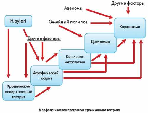 Взять столовые ложки смеси на стакан кипятка, дать настою прокипеть