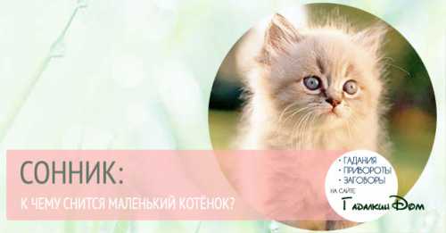 Вашего терпения все равно не хватит