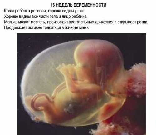 Присутствие в них повышенного количества лейкоцитов свидетельствует о наличии некоторых возможных заболеваний при условии, что анализ был собран правильно далее последняя