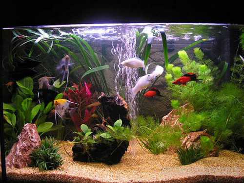 Аэраторы компрессоры