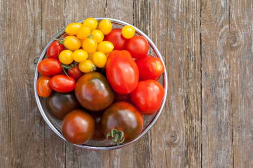 Грибные рецепты от Дильбар Файзиевой