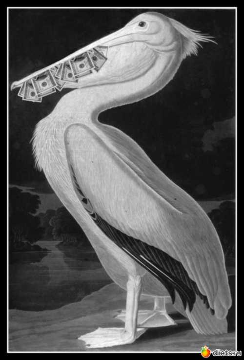 Соискатели должны постоянно напоминать о себе потенциальным работодателям