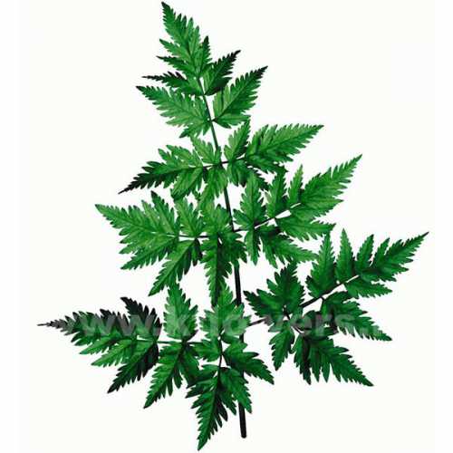 Поделки на день защитника