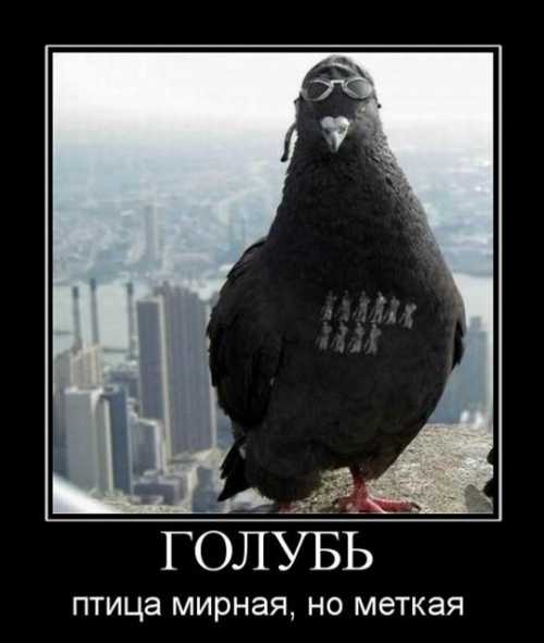 Украинские модели поделились секретами стройной фигуры и идеальной кожи лица