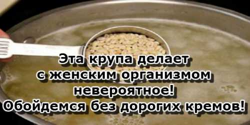 ЧТОБЫ ОБЕСПЕЧИТЬ ГЕРАНИ ПЫШНОЕ ЦВЕТЕНИЕ НУЖНО ЗНАТЬ ТРИ ВАЖНЫХ ПРАВИЛА