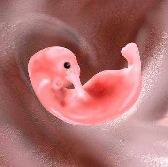 Вирусные или хронические заболевания