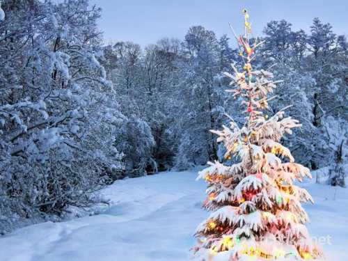 Православные праздники в декабре