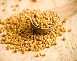 Горчичное масло для волос