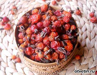 Как сушить шиповник