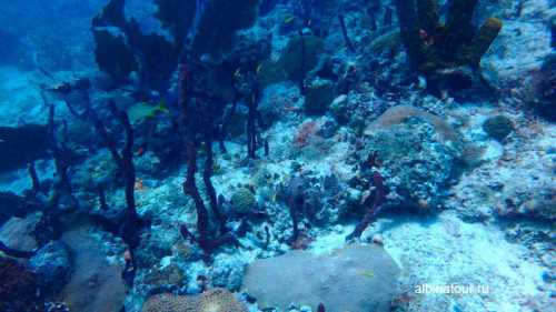 Экзотический мир