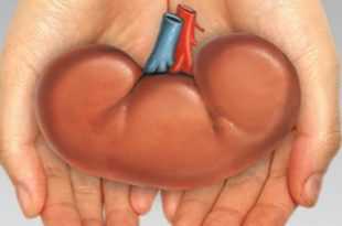 Если важно, чтобы нам сказали, что мы выходим на ковер через схватки попросите это сделать тренера или кого то другого