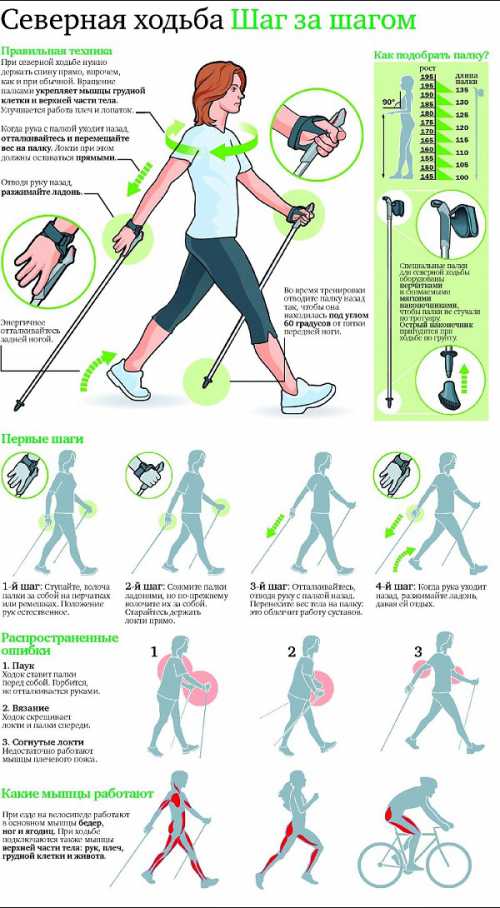 Как и любой вид физической активности, нордическая ходьба имеет также и свои противопоказания