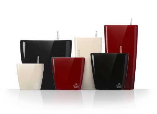 Домашний микроклимат на страже здоровья