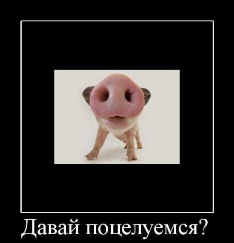 Лучшие идеи для дизайна спальни