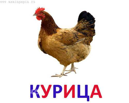 Такие собаки физически сильнее ребенка, поэтому лучше их не заводить