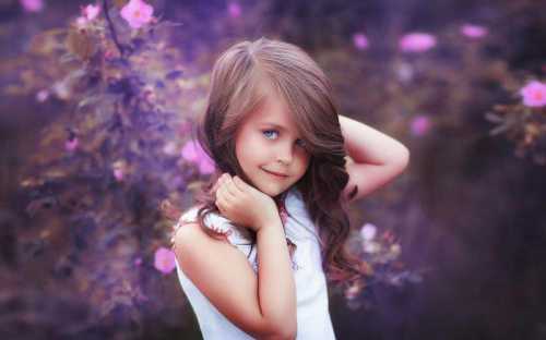 Число облика