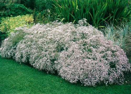 В обоих случаях оно продлится до осени