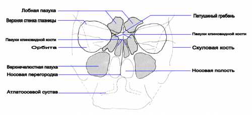 Очищение носа, лобных и гайморовых пазух